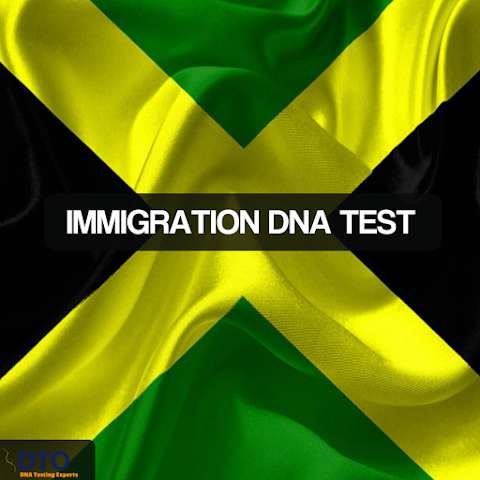 Jobs in IDTO - Immigration DNA Paternity Testing - reviews