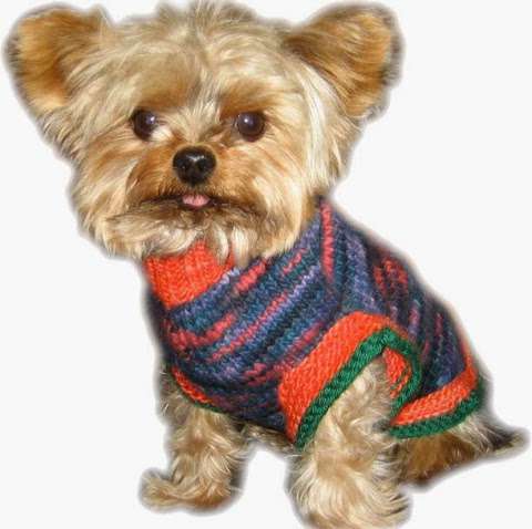 Jobs in Wild Doggie Dog Sweaters - reviews
