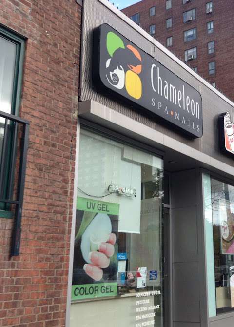 Jobs in Chameleon Spa Nails Inc - reviews